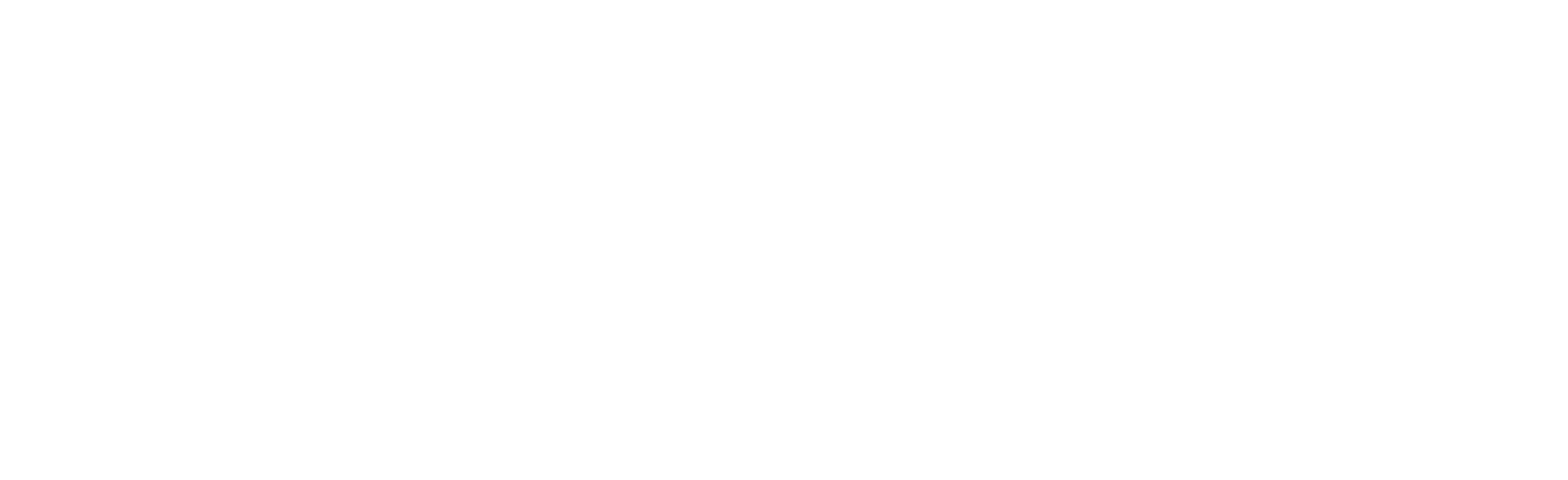 Logo B CORE