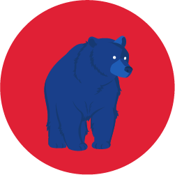 Vector de un oso