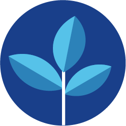 Vector de una planta